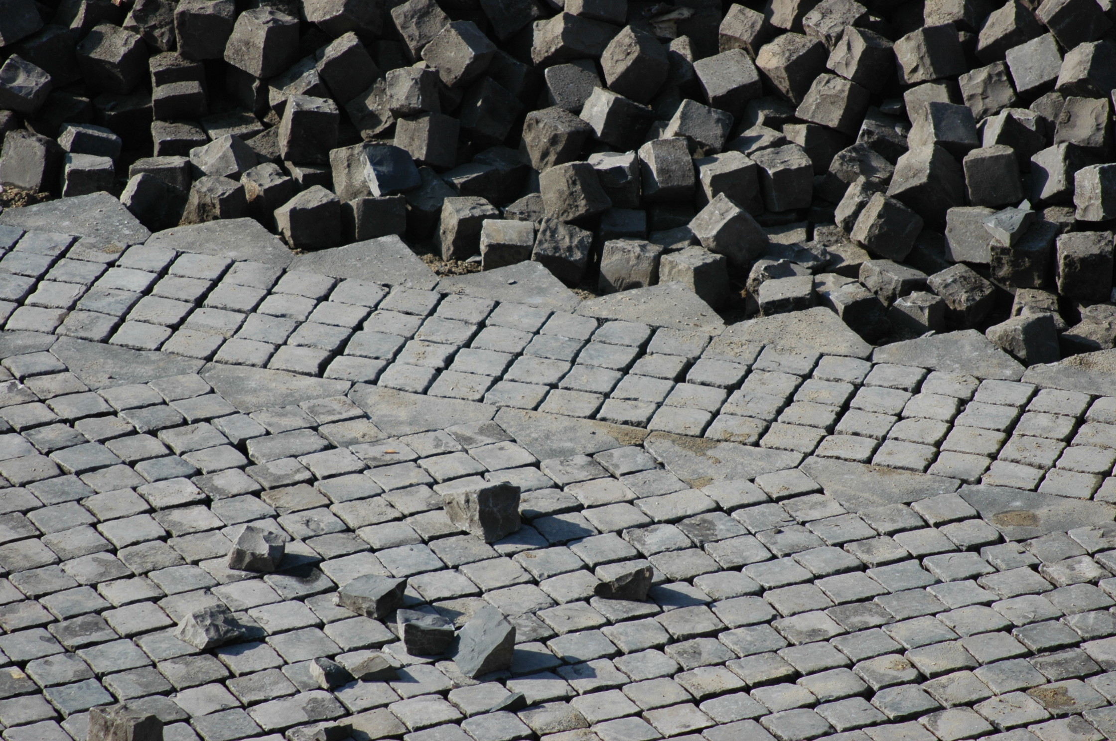 DSC_-0053